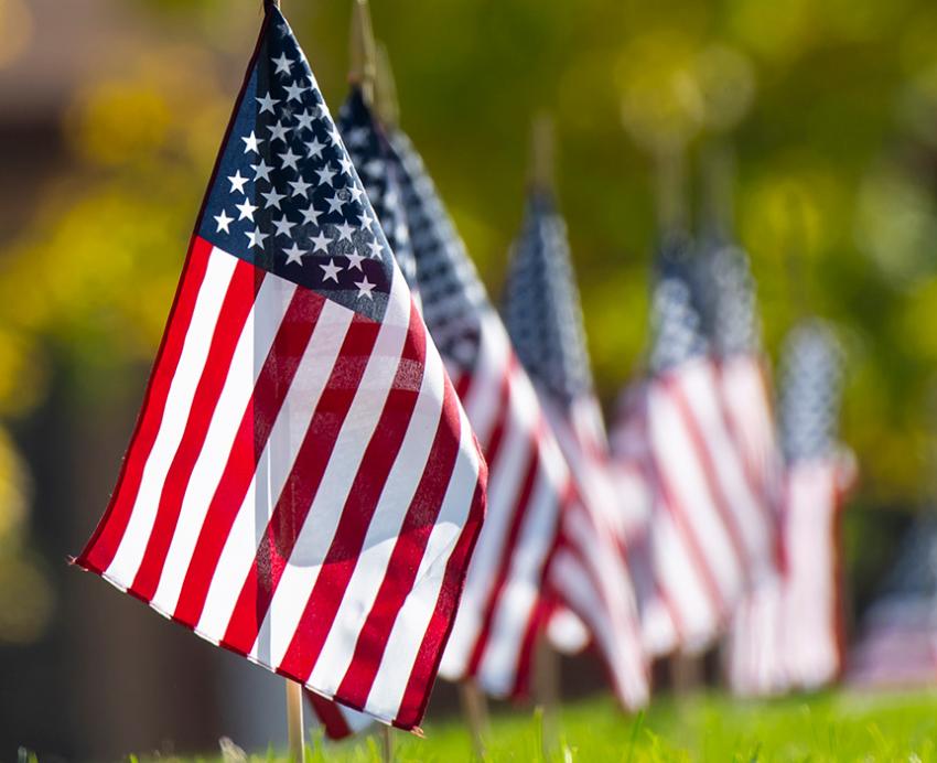 American flags on a lawn