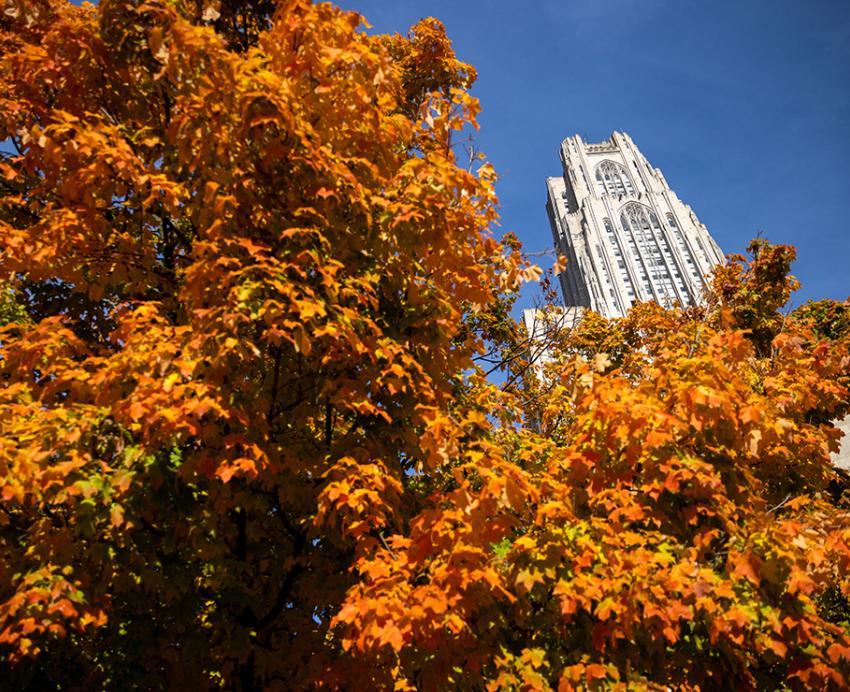 The Cathedral of Learning behind fall leaves