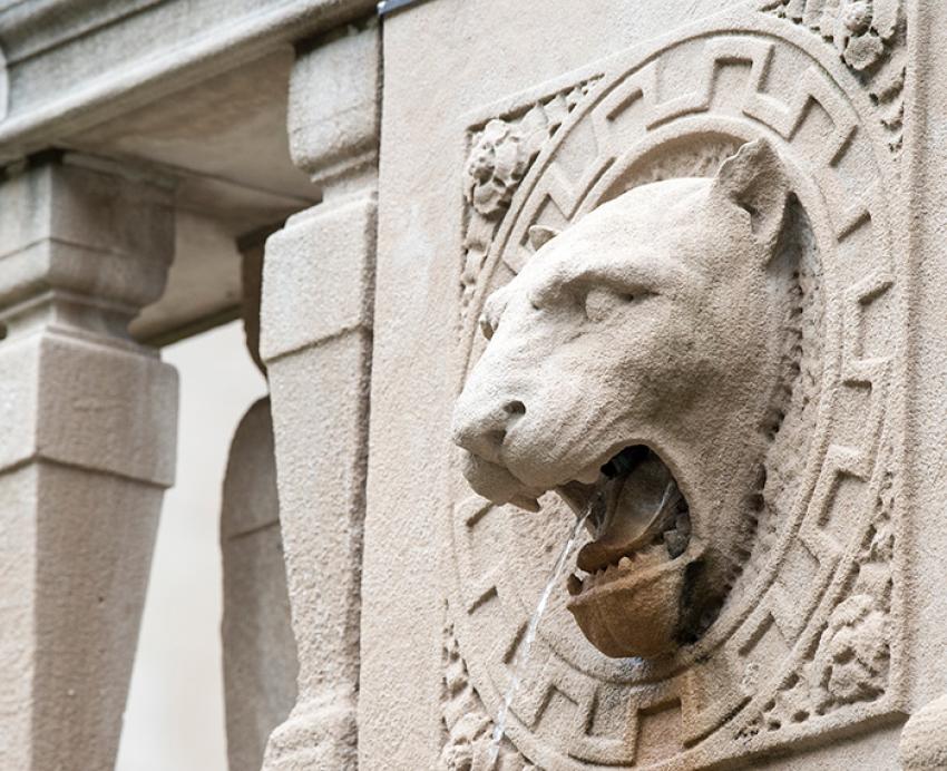 Water flows from a panther's open mouth on a fountain