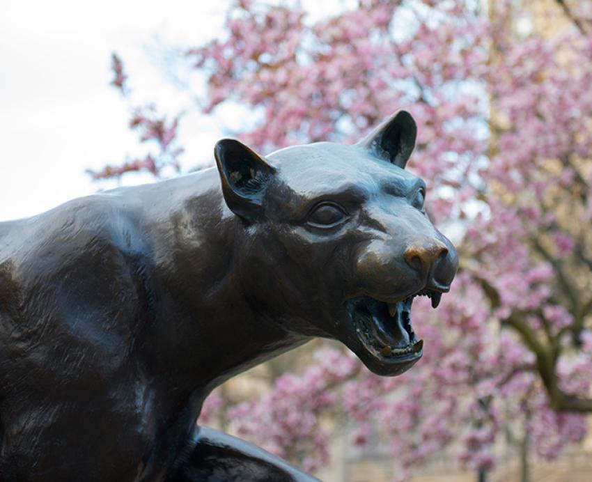 A panther statue in front of a pink flowering tree