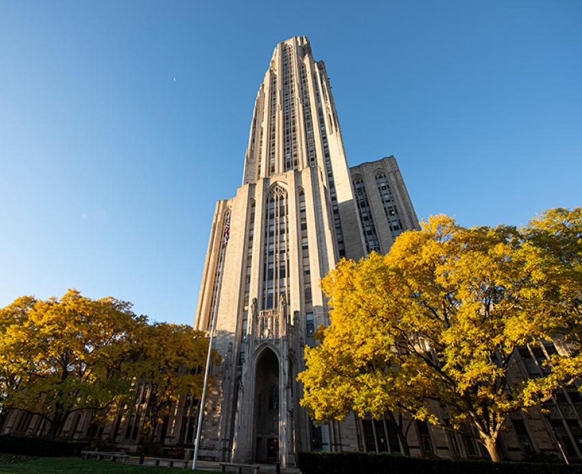 Yellow trees in front of the Cathedral of Learning