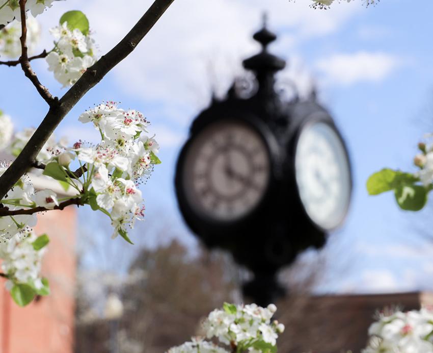 Small white flowers surround a black clock