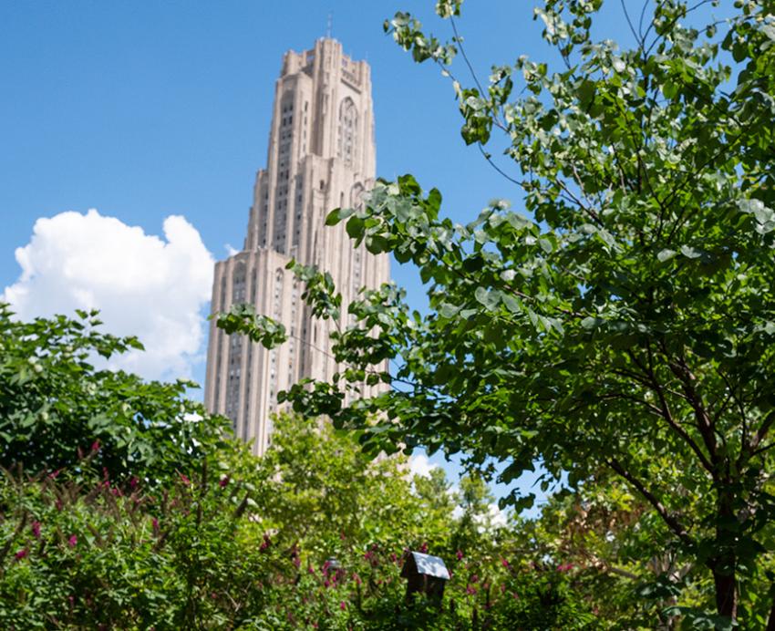 The Cathedral of Learning behind trees