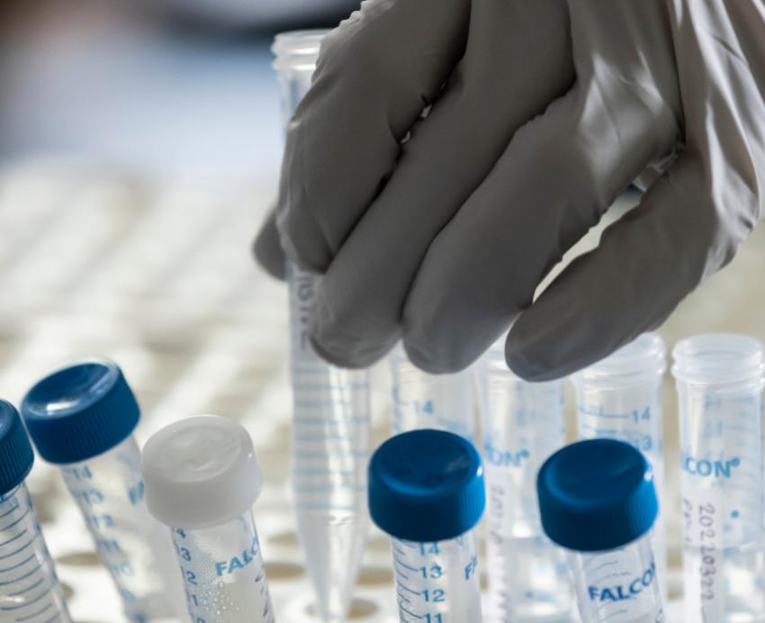 A gloved hand picks a vial from among a number of water vials.