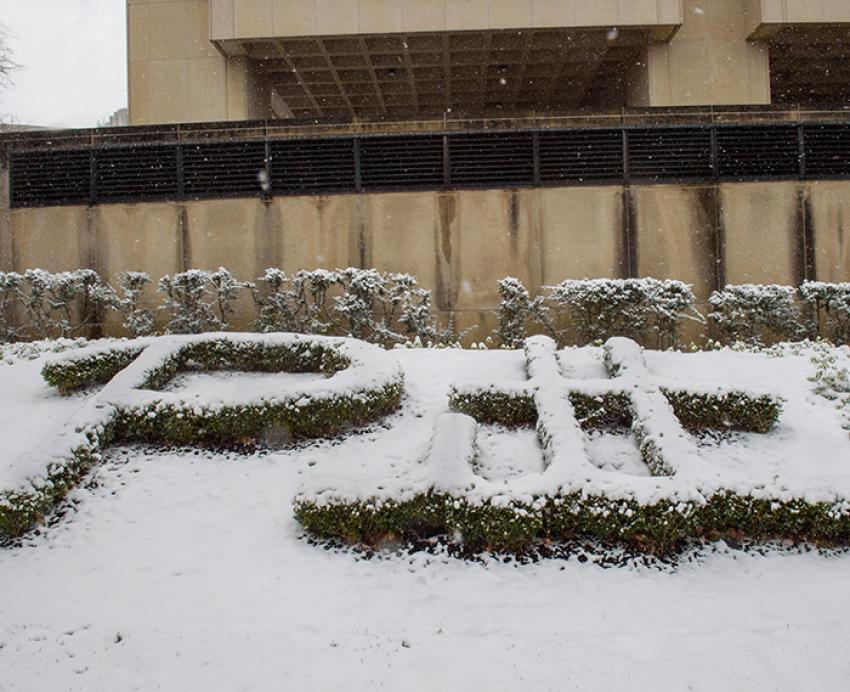 Hedges spell out Pitt outside Posvar Hall