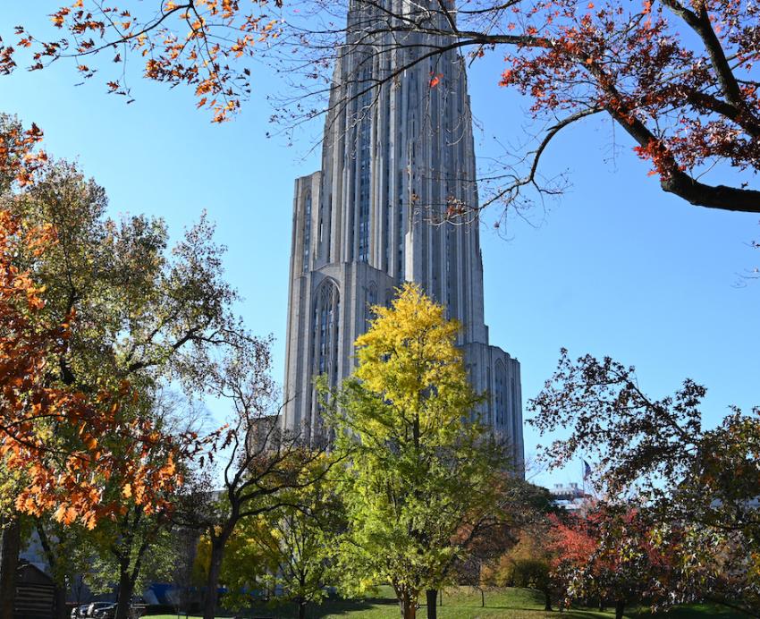 Gothic cathedral surrounded by fall trees.