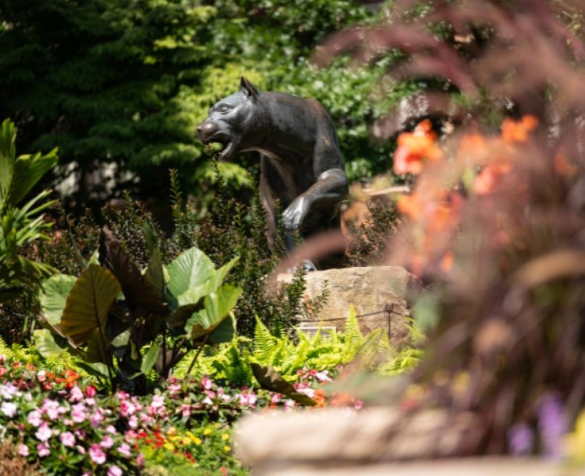 Colorful flowers and greenery frame the panther statue outside the William Pitt Union.