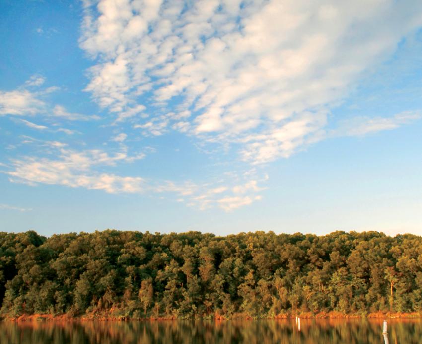 A lake and trees under blue skies with thin clouds.