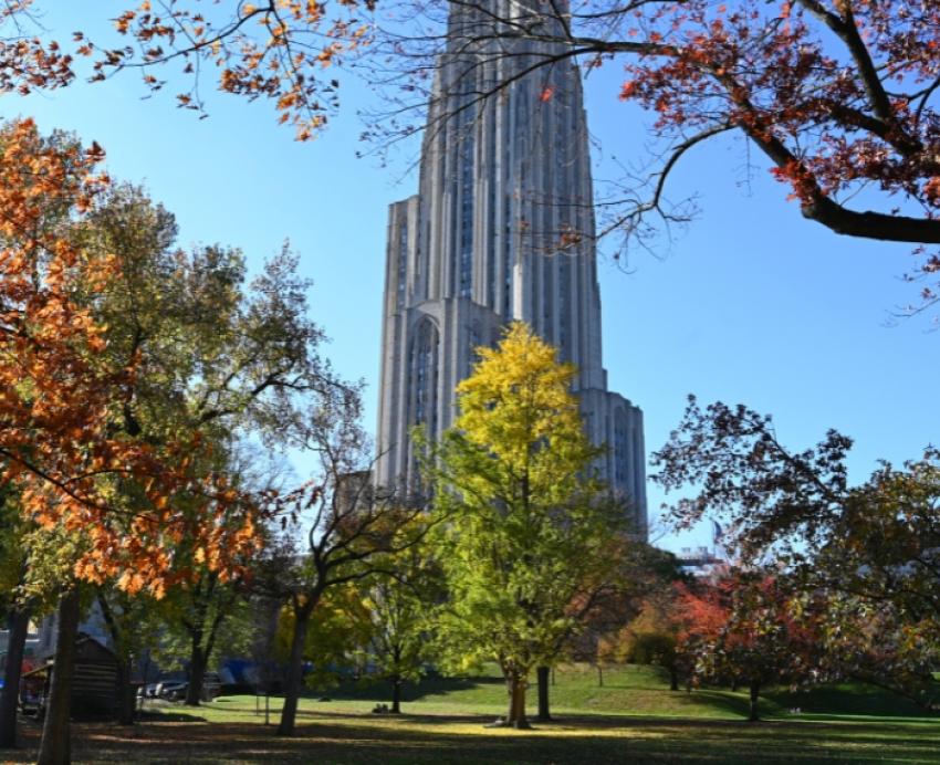 Fall campus photo depicting trees and leaves on the Cathedral lawn.