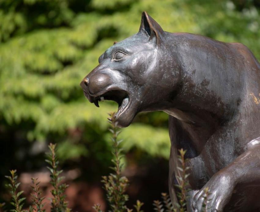 Pitt Panther statue.