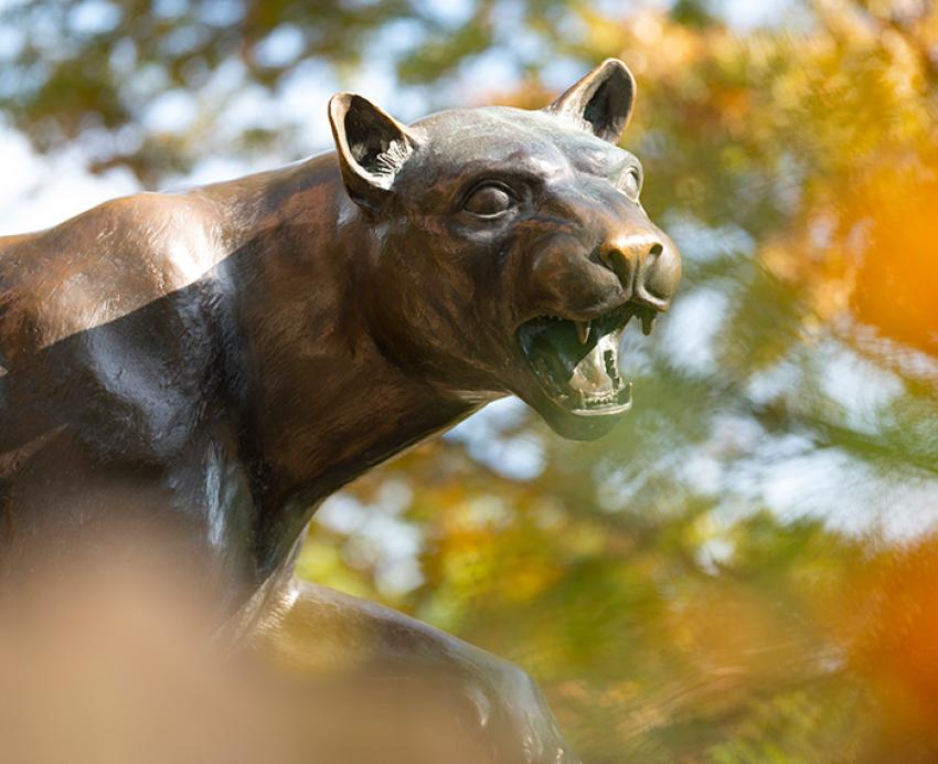 Panther statue surrounded by fall leaves