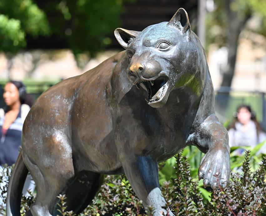 Students walk by the bronze panther statue