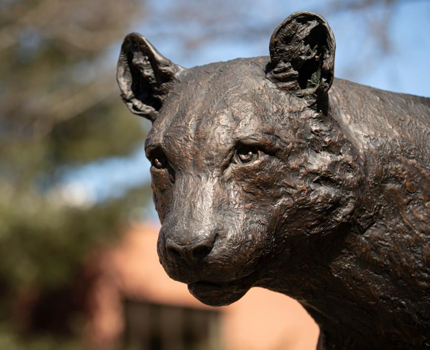 Pitt-Bradford panther statue.