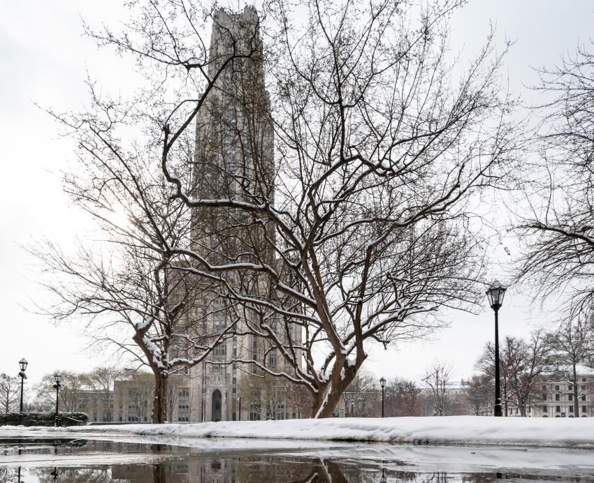 Cathedral of Learning pictured during the winter with snow, a leafless tree and puddle.