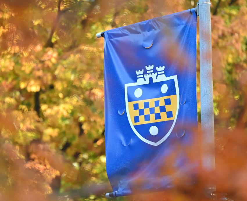 A branded Pitt flag with the University shield is framed by fall leaves.
