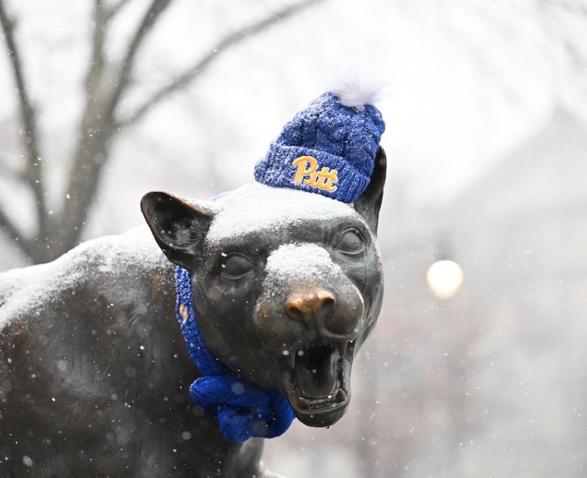 Panther statue wearing Pitt beanie in the snow.