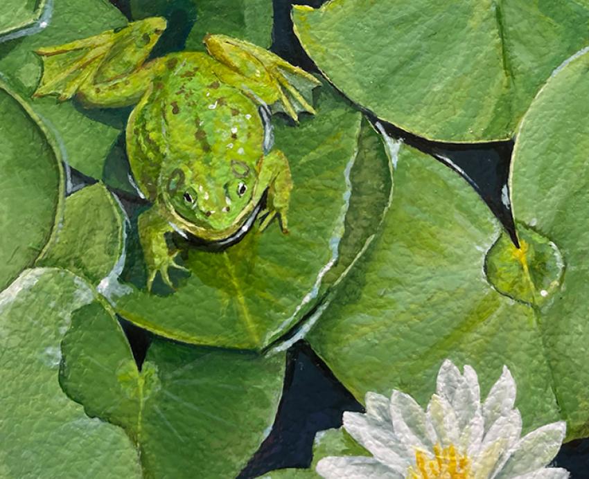 painting of a frog on lilypads