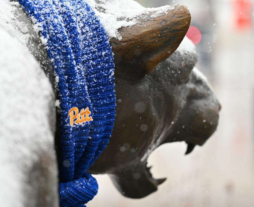 A close up of the panther statue wearing a Pitt scarf in the winter.