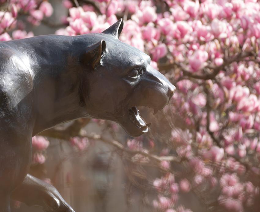 A Panther statue surrounded by blooming trees.