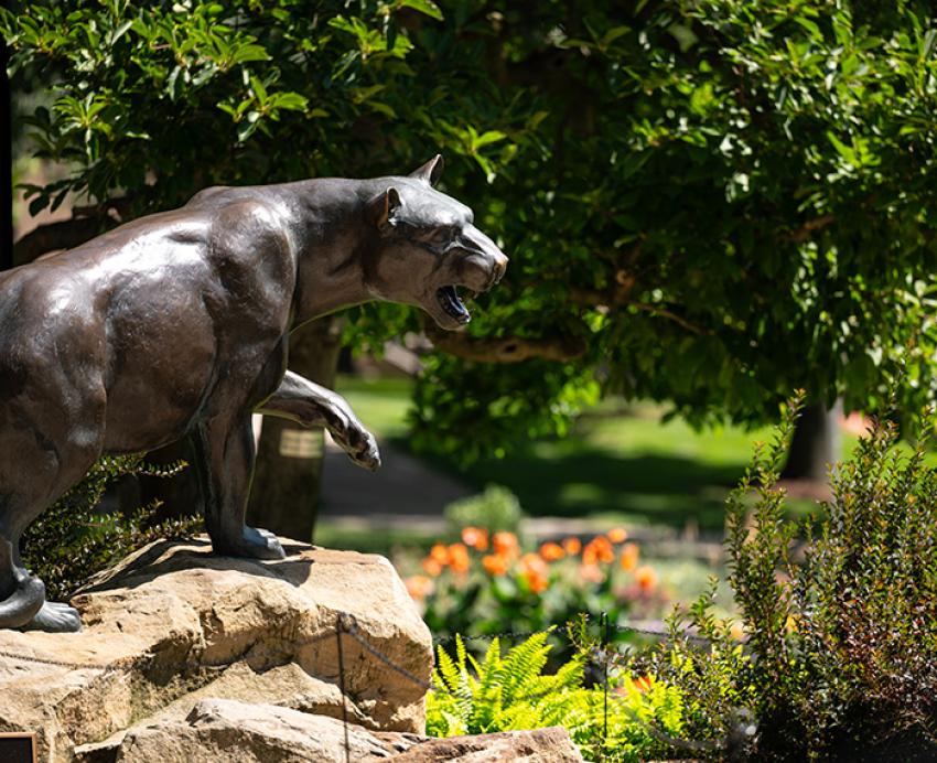 The panther statue in summer