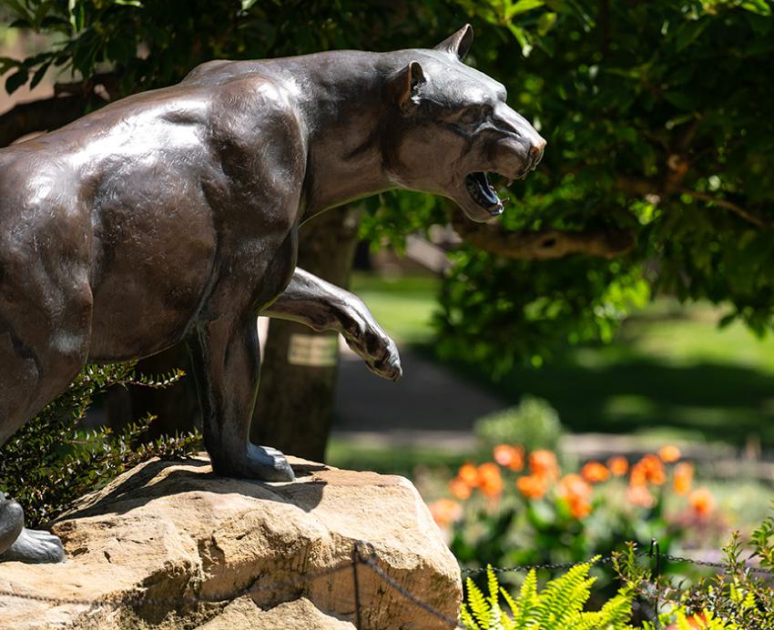 The panther statue surronded in summer foliage