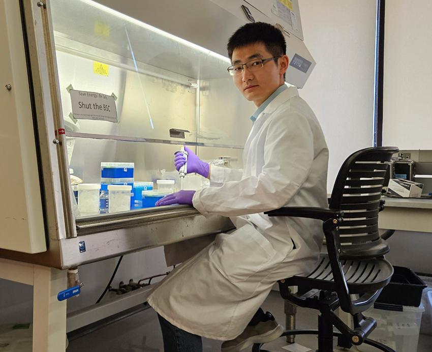 Meng Wang sits at a lab desk, with a pipette in hand