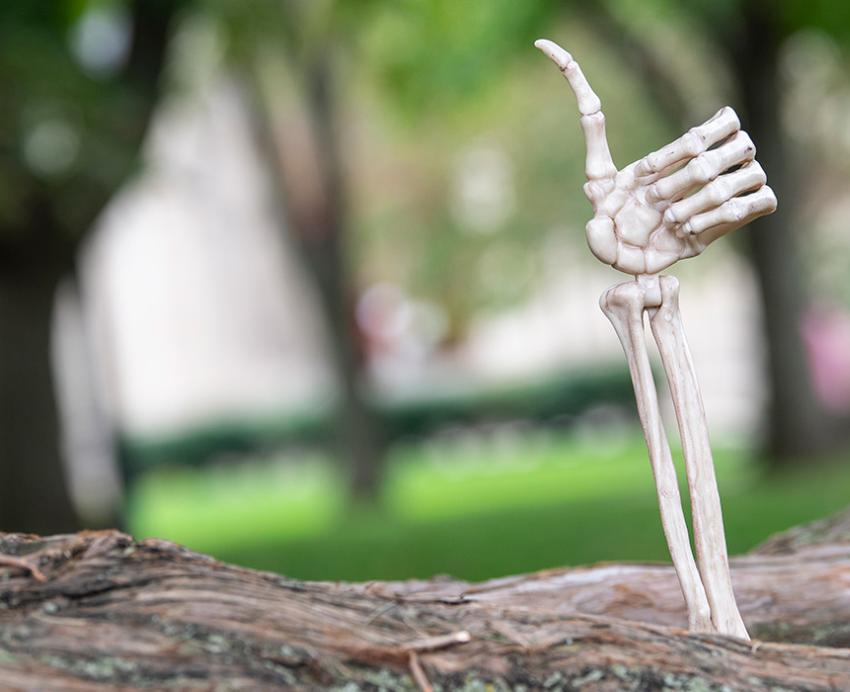 Skeletal hand giving the thumbs up