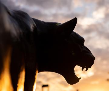 a Panther statue at sunset