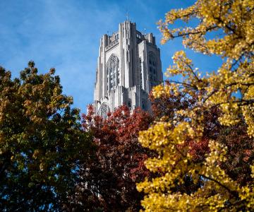 Colorful fall leaves frame the Cathedral of Learning