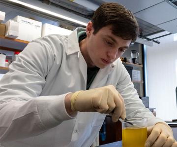 A student stirs a beaker in a lab.
