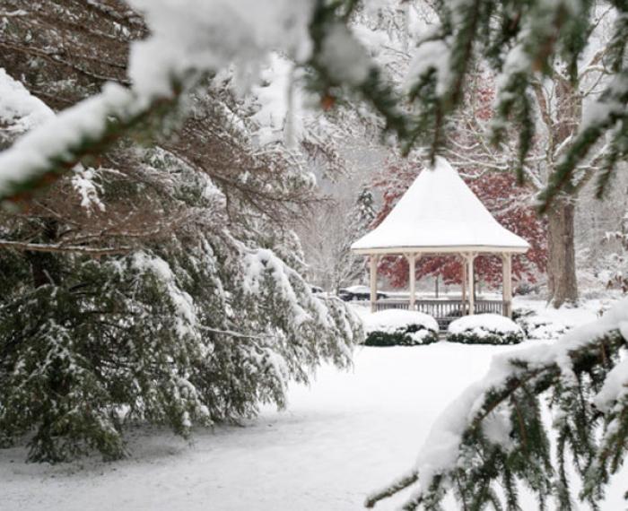 Pitt-Bradford Snow