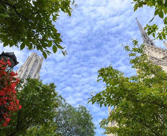 Cathedral view through trees on sunny day