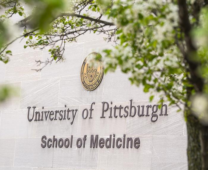 School of Medicine building sign behind tree