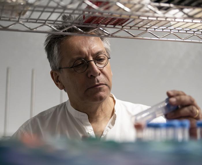 Graham Hatfull, the Eberly Family Professor of Biotechnology in the University of Pittsburgh’s Kenneth P. Dietrich School of Arts and Sciences. (Aimee Obidzinski/University of Pittsburgh)