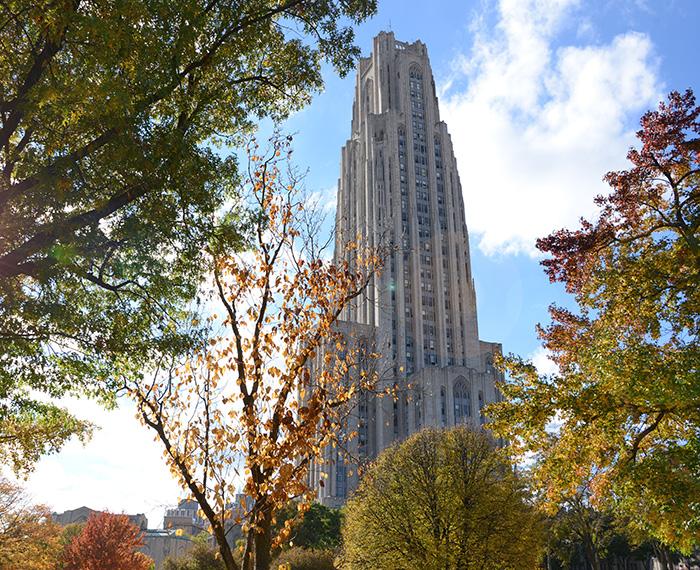 The Cathedral behind trees