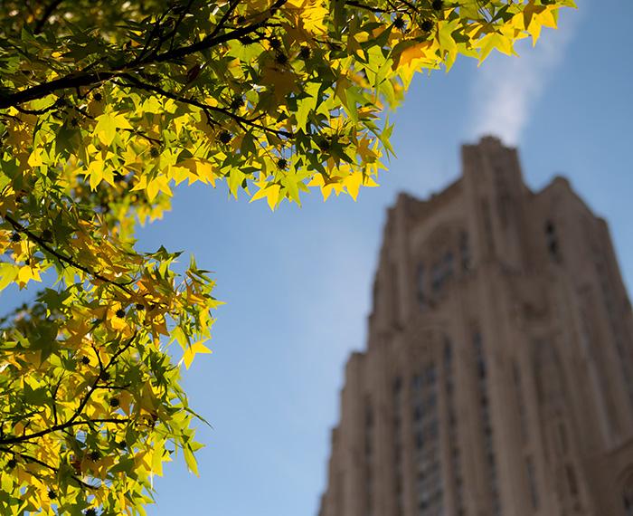 Leaves in front of the Cathedral of Learning