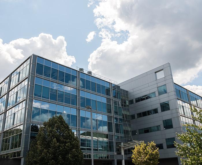 The Aging Institute