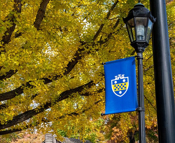 A Pitt shield flag on a lamppost in front of yellow leaves