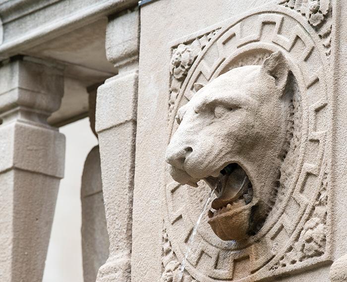 Water flows from a panther's open mouth on a fountain