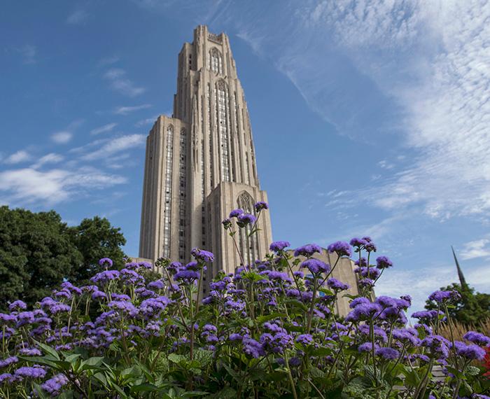 Purple flowers in front of the Cathedral of Learning