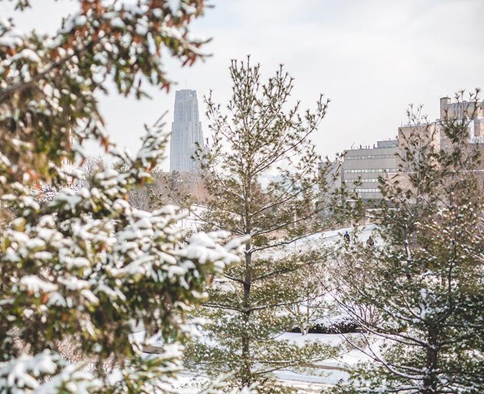 The Cathedral of Learning behind snowy trees