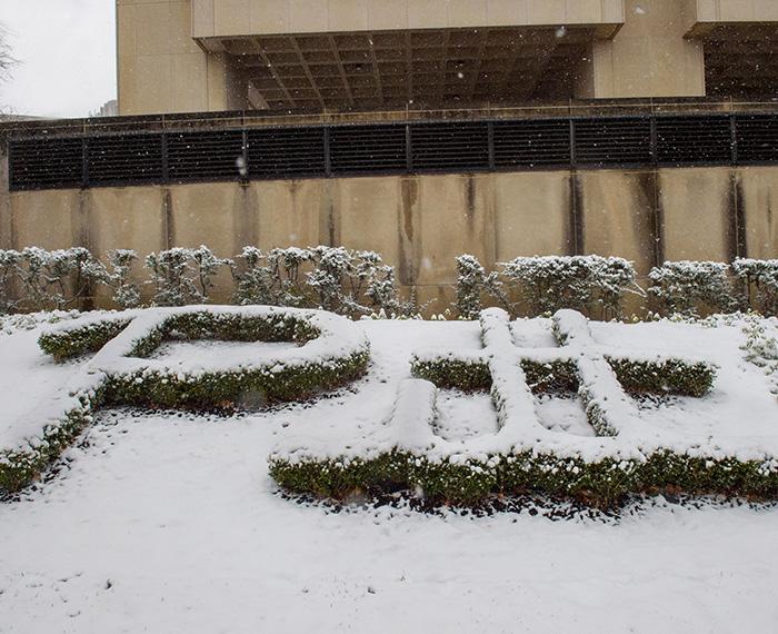 Hedges spell out Pitt outside Posvar Hall