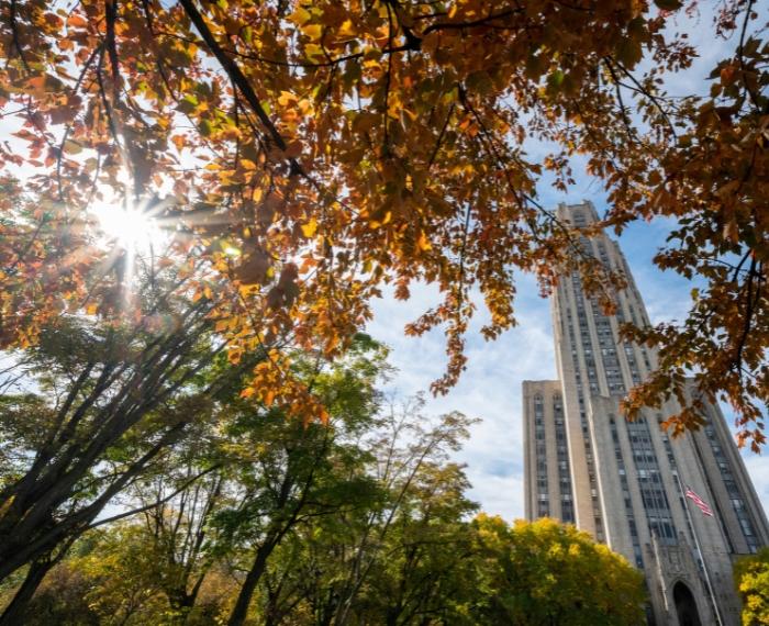 The Cathedral of Learning stands visible through trees in the fall.