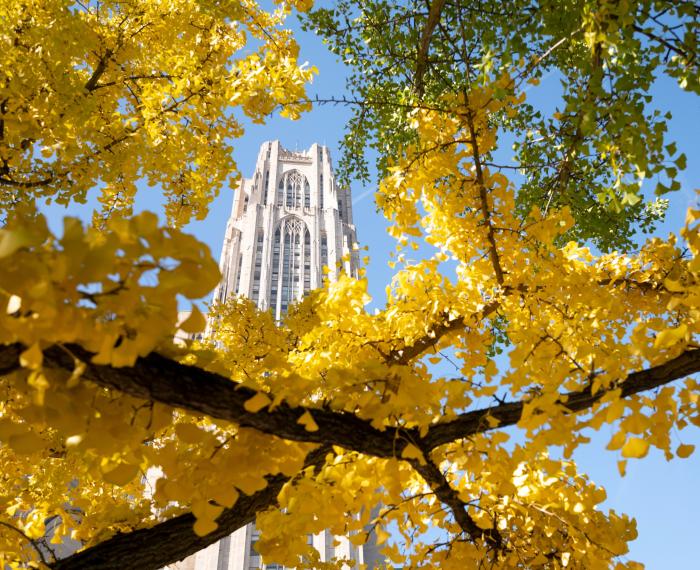 The Cathedral of Learning is framed by vibrant yellow and green leaves in the fall.