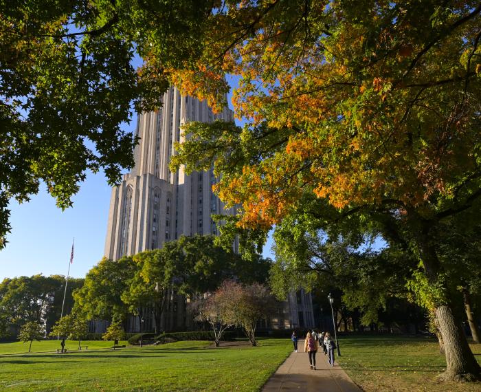 Students walk alongside the Cathedral lawn in the fall.