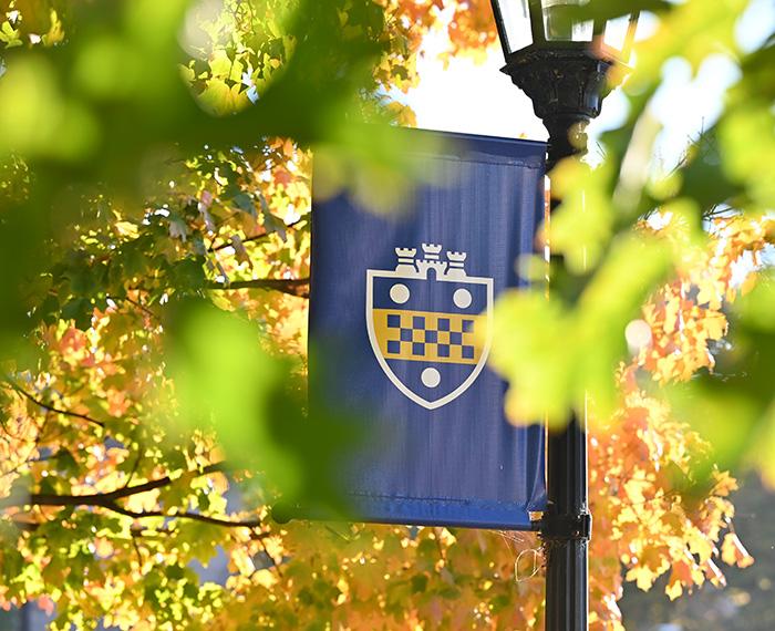 A Pitt shield flag surrounded by fall leaves