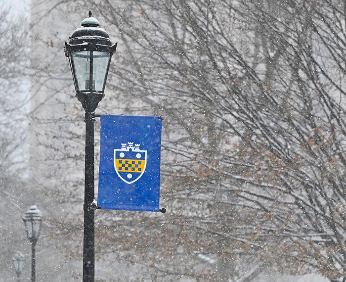 Pole banner bearing Pitt shield on a snowy day