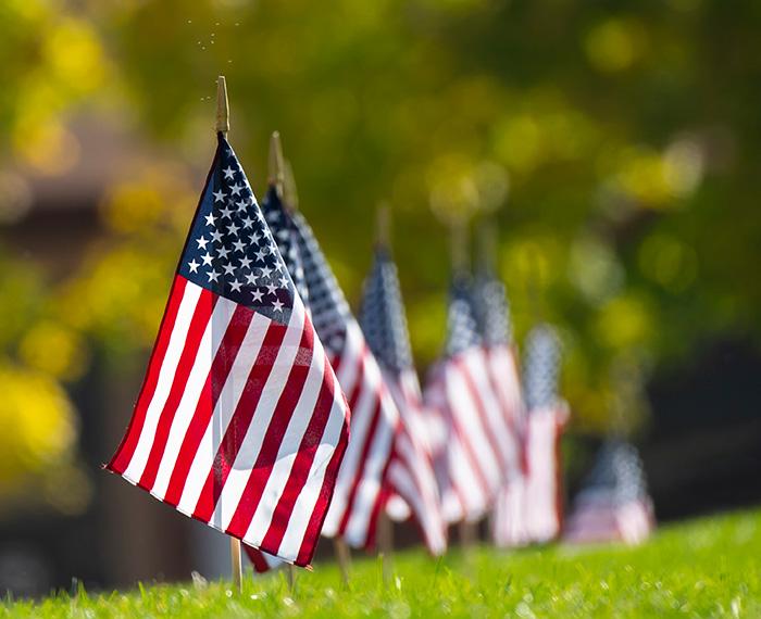 American flags in the grass
