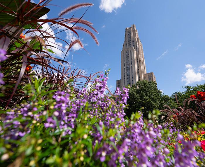 The Cathedral of Learning sits behind blooming flowers.