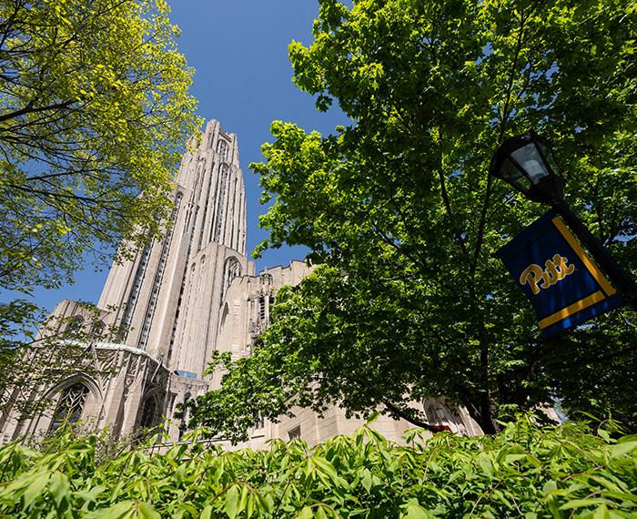 Cathedral of Learning with green summer foliage
